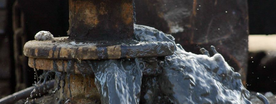 900x340 Fill Slider2